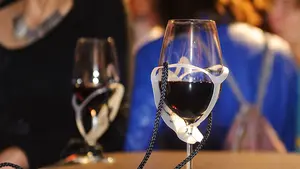 Los mejores vinos ecológicos de Navarra estarán expuestos en una feria celebrada en Pamplona