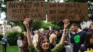 "A Pamplona hemos de ir, la tauromaquia llega a su fin": la manifestación antitaurina recorre la capital navarra en vísperas de Sanfermines