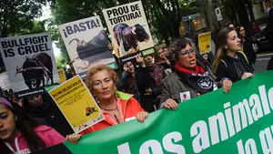 Decenas de colectivos antitaurinos de toda España se dan cita en Pamplona para pedir el "fin de la tauromaquia" en Sanfermines