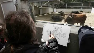 Al otro lado de la barrera: los corrales del Gas abren sus puertas a los pamploneses para ver de cerca los toros del encierro