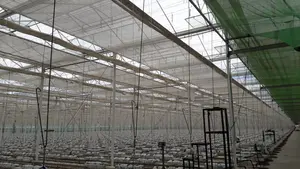 Planasa compra un invernadero de cristal en Milagro que generará nuevos puestos de trabajo en Navarra