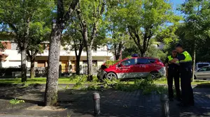 Dos policías forales heridos al chocar con su coche contra un árbol cuando acudían a atender una urgencia en Pamplona