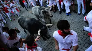 El momento del peligro: llegan a Pamplona los toros de Cebada Gago, los que han herido a m&aacute;s corredores