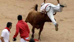 Se rompe la cabeza en las vaquillas despu&eacute;s del encierro: herido grave un japon&eacute;s de 39 a&ntilde;os tras sufrir un fuerte golpe