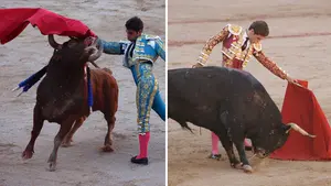 La Feria del Toro premia ex aequo a Victoriano del Río y Jandilla como la mejor corrida de los Sanfermines y 'Forajido', el Carriquiri