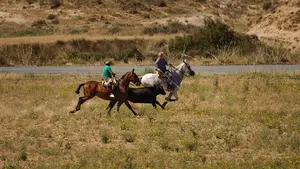 Una vaca se escapa en plena trashumancia de Larraga y pone en apuros a los caballistas participantes