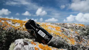 Pamplona y sus centros escolares promoverán que los alumnos realicen servicios a la comunidad