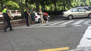 Tres atropellos en una semana en Pamplona y once detenidos por conducir ebrios o de forma temeraria por la ciudad