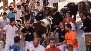Repasa, foto a foto, cómo ha sido la carrera de los toros de Aldeanueva en el primer encierro de Tudela