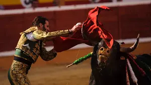 Primera tarde de fiesta y pasión taurina en Tudela con las faenas del 'pirata' Padilla, Daniel Luque y El Cid