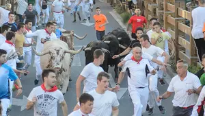 Tenso y veloz quinto encierro de Tudela: un toro rezagado arremete contra varios corredores en dirección contraria