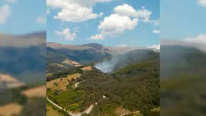 Las llamas vuelven a Navarra: un incendio en el término de Izalzu, en Sangüesa, quema parte de un pinar