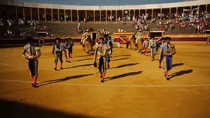 Las novilladas podrían volver a Tudela: el Ayuntamiento da a conocer su plan de festejos