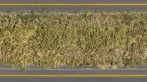 Las carreteras navarras se libran del glifosato, un producto cancerígeno y altamente contaminante para eliminar vegetación