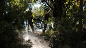 Continúan las labores de refresco y vigilancia del incendio forestal de Falces, que ya ha sido controlado por los bomberos