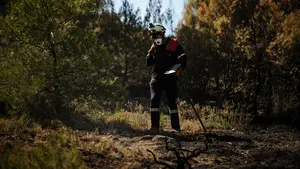 Naturaleza en llamas: los bomberos sofocan cuatro incendios forestales desatados en varios pueblos de Navarra