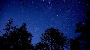 Las perseidas vuelven a brillar: Navarra se prepara para las noches más mágicas del verano