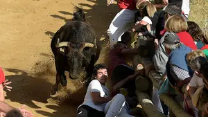 Vertiginoso primer encierro del Pilón de Falces: cuatro personas han resultado contusionadas