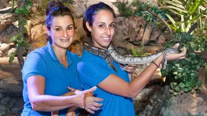 Animales de los cinco continentes sin salir de Navarra: el 'Mundo zoorprendente' de Sendaviva se renueva