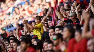 Los datos más relevantes de Osasuna: el 82% de los socios son hombres y casi la mitad, vecinos de Pamplona