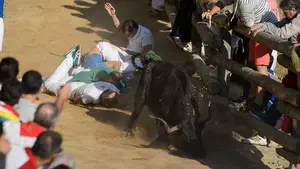 Un herido muy grave en el último encierro del Pilón tras ser arrollado por una vaca en el descenso de la cuesta