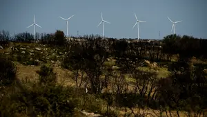 Que hablen las imágenes: así se encuentra la Zona Media un año después del mayor incendio de Navarra