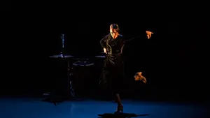 'Tempo de luz', el repertorio más luminoso del flamenco atrapa a Pamplona una noche más