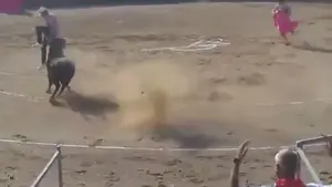 Por los aires: un antitaurino irrumpe en una corrida con el toro recién salido y sufre una aparatosa cogida