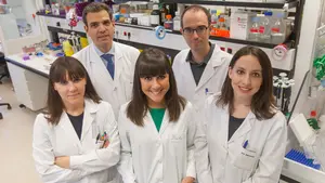 Localizan en Navarra una nueva diana frente a las metástasis hepáticas en pacientes con cáncer de pulmón