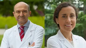 Un estudio navarro avala que comer 3 o 4 frutas o verduras al día reduce el riesgo de mortalidad prematura