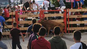Cornada a una niña de 7 años en Zizur Mayor: la menor presenciaba el espectáculo cuando ha sido cogida por una vaca