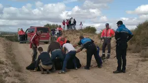 Capturan en Cascante a un toro escapado del encierro de Novallas y un hombre de 77 años resulta herido cuando escapaba de él