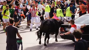 Contra todo y contra todos: un bravo toro ensogado de 'El Pincha' siembra de emoción las calles de Lodosa