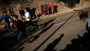 Accidentado encierro en Zizur Mayor: tercer corneado de la semana y un joven pisoteado por las vacas