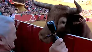 El toro ensogado de Lodosa arremete contra El Cheli cuando le cantaba una jota