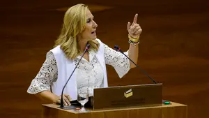 Denuncian que "el cuatripartito está aumentando con nocturnidad y alevosía las plazas de euskera"