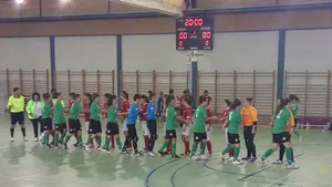 El Orvina desaprovecha una ventaja de tres goles y termina empatando el partido ante el FSF Rioja en Logroño