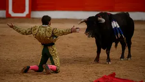 Una legendaria ganadería acude por primera vez a Corella con una terna de grandes diestros