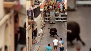 Los 'bous al carrer' siembran el terror en Puçol con un muerto por asta de toro