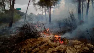 Las cifras del fuego en Navarra: los bomberos han intervenido en 402 incendios durante este seco verano