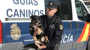 El odio contra la policía en Cataluña salta al mundo animal: vetan a dos de sus perros en una exhibición canina