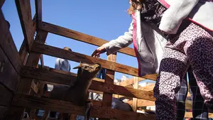 Adano celebra su festival 'Su sonrisa es importante' entre juegos y actividades para concienciar sobre el cáncer infantil