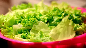 ¿Puedo comer lechuga por la noche? Los mitos y dudas más comunes