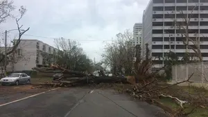 Amenaza meteorológica: la tormenta tropical Ofelia sigue avanzando y podría alcanzar el lunes España como huracán
