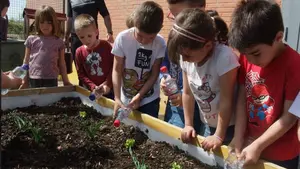 En busca de buenos hábitos de alimentación: los colegios pamploneses inician un programa piloto de huertas ecológicas