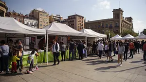 Reclaman que se permita en Navarra la celebración de mercadillos y el acceso a las huertas particulares