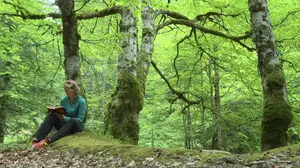 Pirineo Navarro: Rutas para disfrutar de la naturaleza