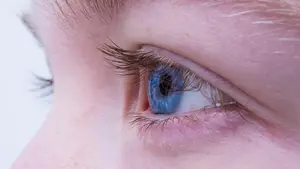 Navarra contará por primera vez con una médica que se formará en un exclusivo curso sobre retina