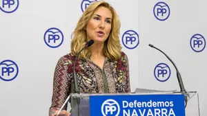 El PPN alertará de los "peligros" del cuatripartito en charlas repartidas por toda Navarra