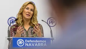 Denuncian que Ollo "se salte" la suspensión del Constitucional sobre la ley de víctimas de extrema derecha